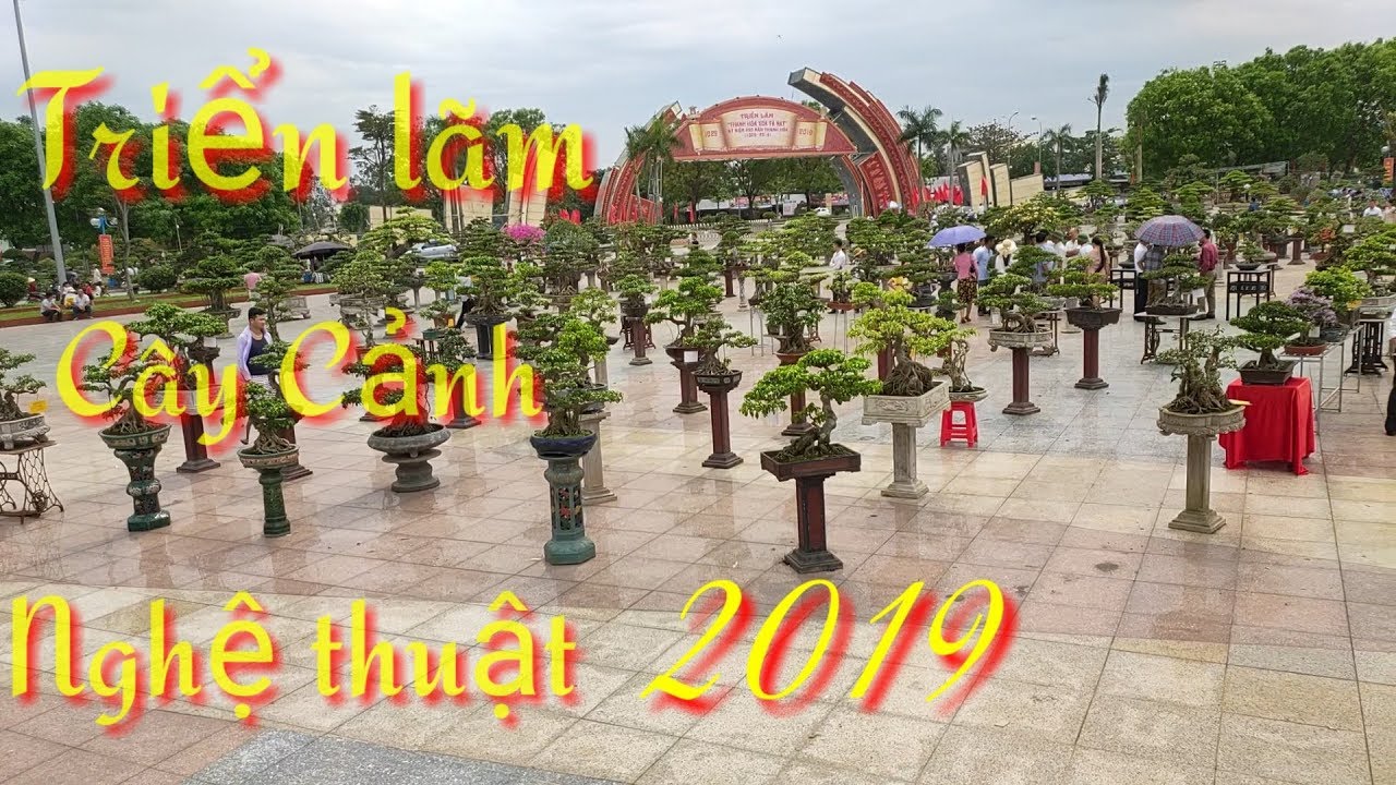 Triển lãm Cây Cảnh Nghệ Thuật ở Thanh Hóa 2019 - ĐTV Vlogs98