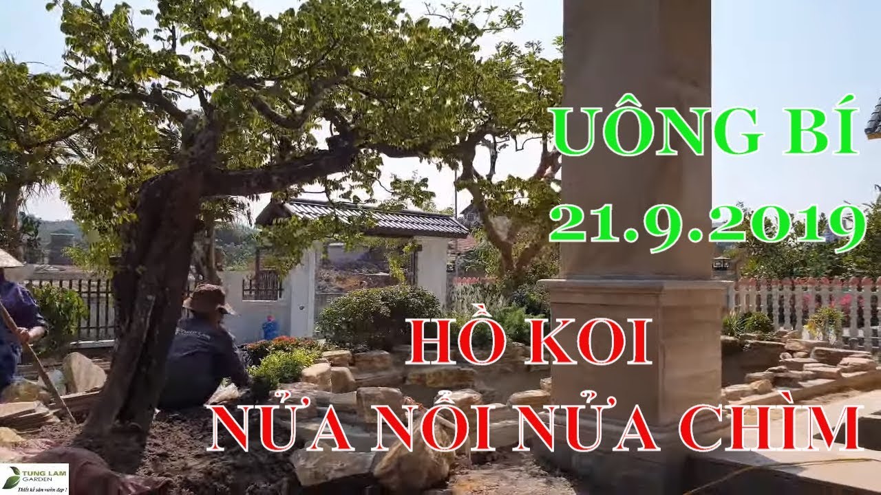 Trồng cây Trang trí Hồ cá Koi & Sân vườn nhà bác Việt ở Quảng Ninh, ngày 21.9.2019