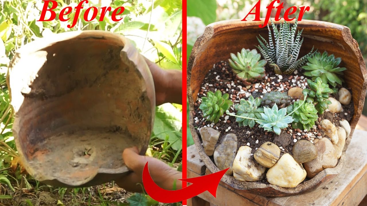 Tái chế chậu vỡ để trồng sen đá theo cách của Garden | Recycle broken pots to plant stone lotus