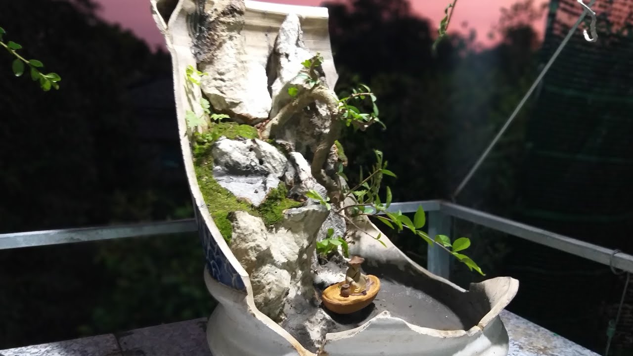 Tự Làm Tiểu Cảnh Bonsai Chậu vỡ | Bonsai miniature landscape in a broken pot