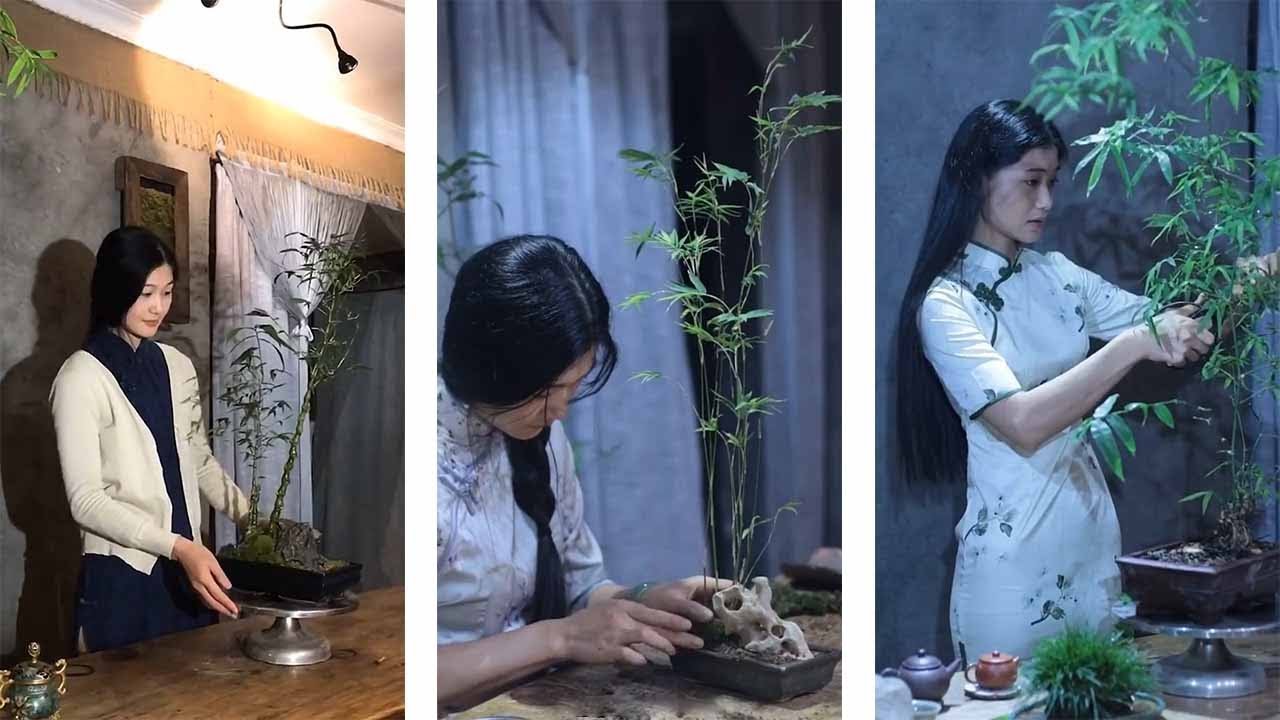 Unique and skillful bonsai ideas make a difference - Wonderful bonsai art