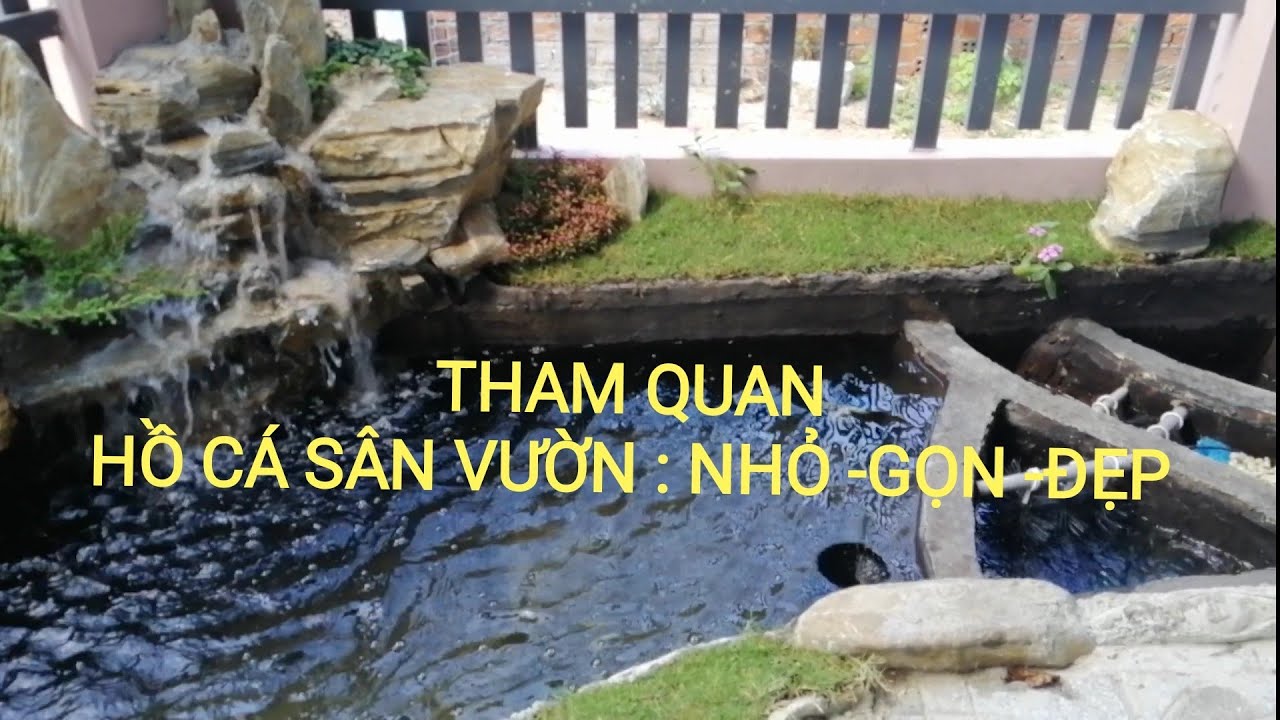 VISITING GARDEN FISH LAKE: SMALL - CALL - BEAUTIFUL || THAM QUAN HỒ CÁ SÂN VƯỜN: NHỎ -GỌN - ĐẸP