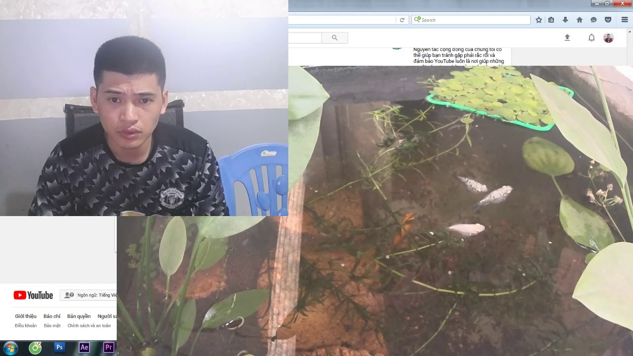 Vlogs 11 : Làm thế nào để cây thủy sinh lớn nhanh mà cá lại khỏe