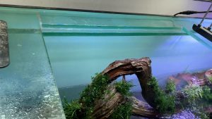 Vào cây bể thuỷ sinh D2360xC910xR810mm