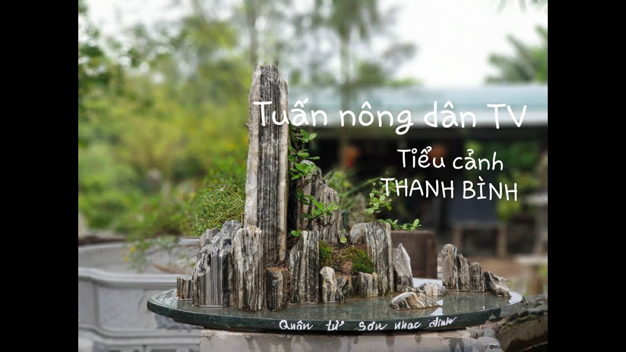 Vườn sinh thái, tiểu cảnh, non bộ, bonsai