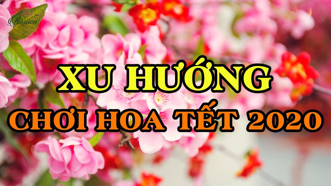 XU HƯỚNG CHƠI HOA TẾT 2020 - CÂY CẢNH ĐẸP CHƠI TẾT