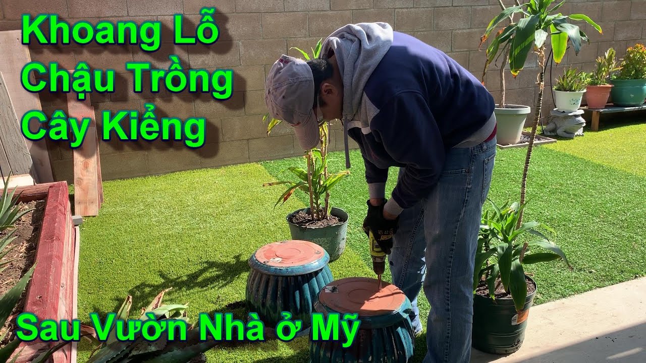 lili?? Khoang lỗ chậu trồng kiểng trang trí cho đẹp sân vườn nhà