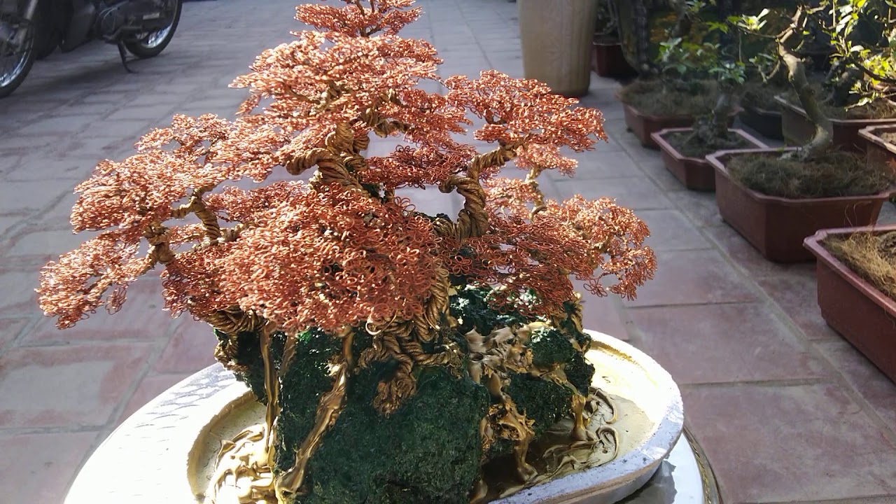 " RỪNG PHONG "_ Tiểu cảnh bonsai handmade. Nghệ thuật với dây đồng