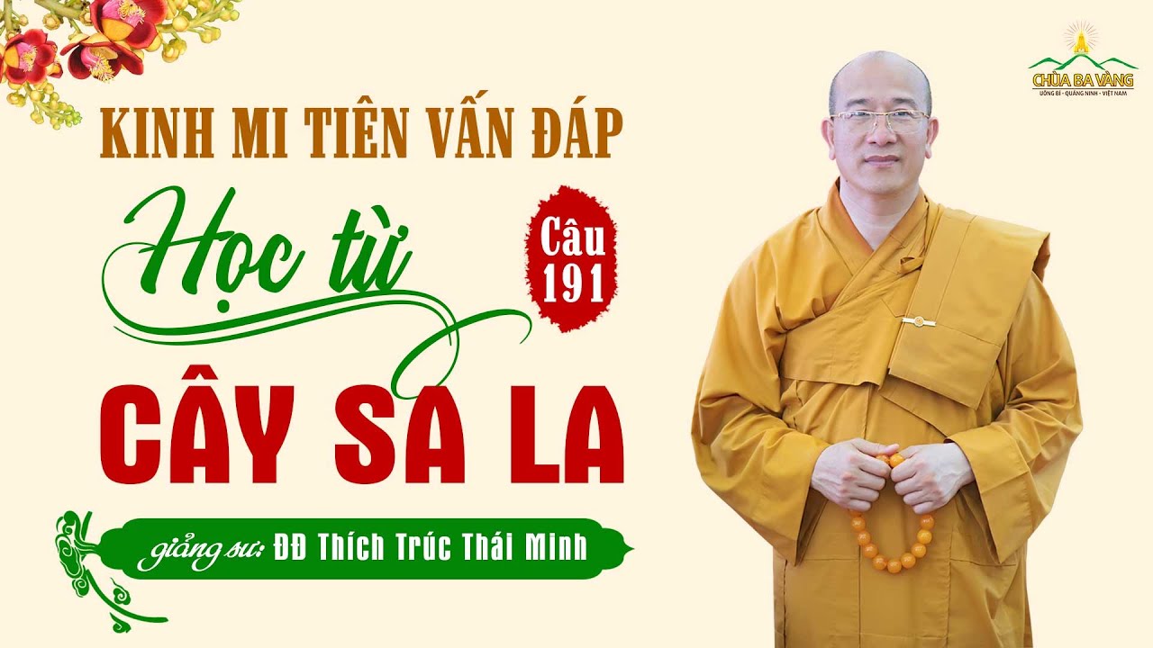"Học từ cây sala" - Kinh Mi Tiên vấn đáp câu 191 | Thầy Thích Trúc Thái Minh