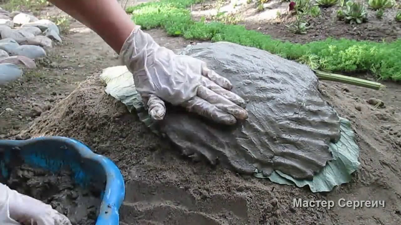 Ý tưởng trồng sen đá trên Một tấm xi măng hình chiếc lá độc đáo