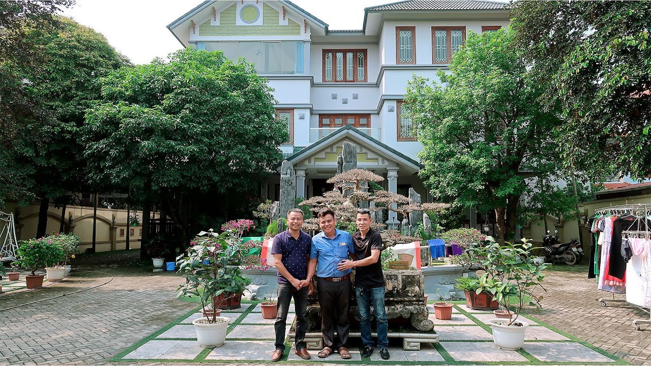 Đi thăm tác phẩm siêu cây cảnh triệu đô làm khuynh đảo giới chơi cây ở Việt Nam một thời