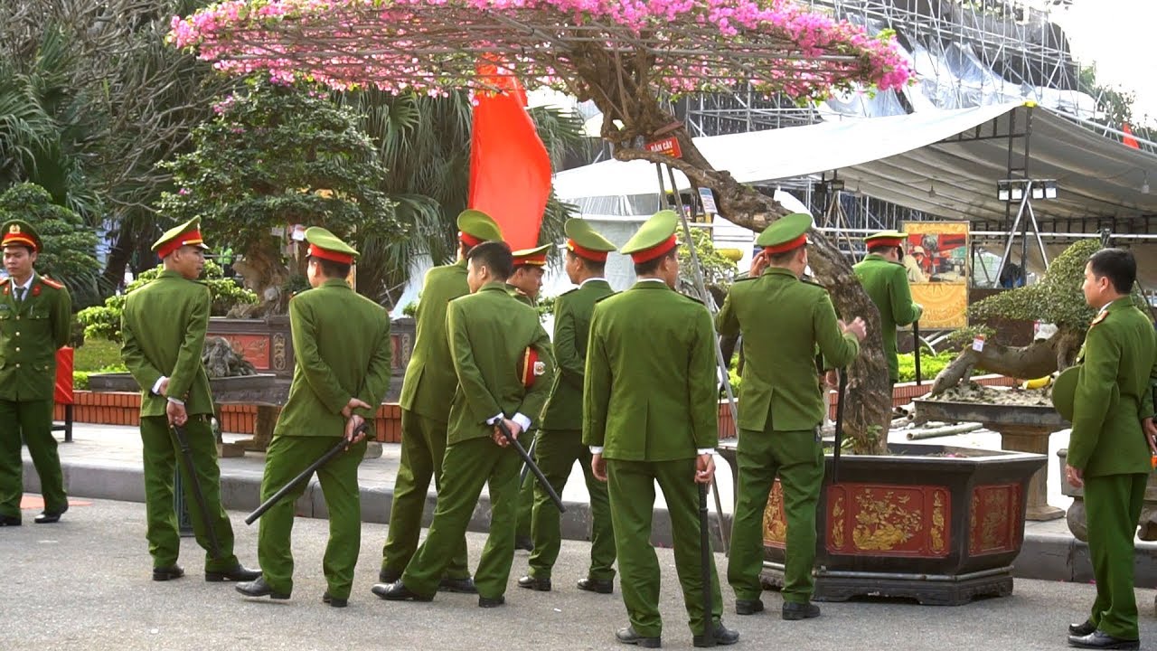 Đây là lí do cây cảnh năm nay sẽ tăng giá chóng mặt các bác ơi