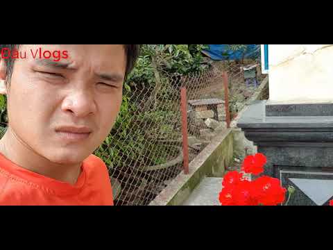 Đậu Vlogs : Giới thiệu nhóm cây cảnh độc lạ trị giá bạc tỷ