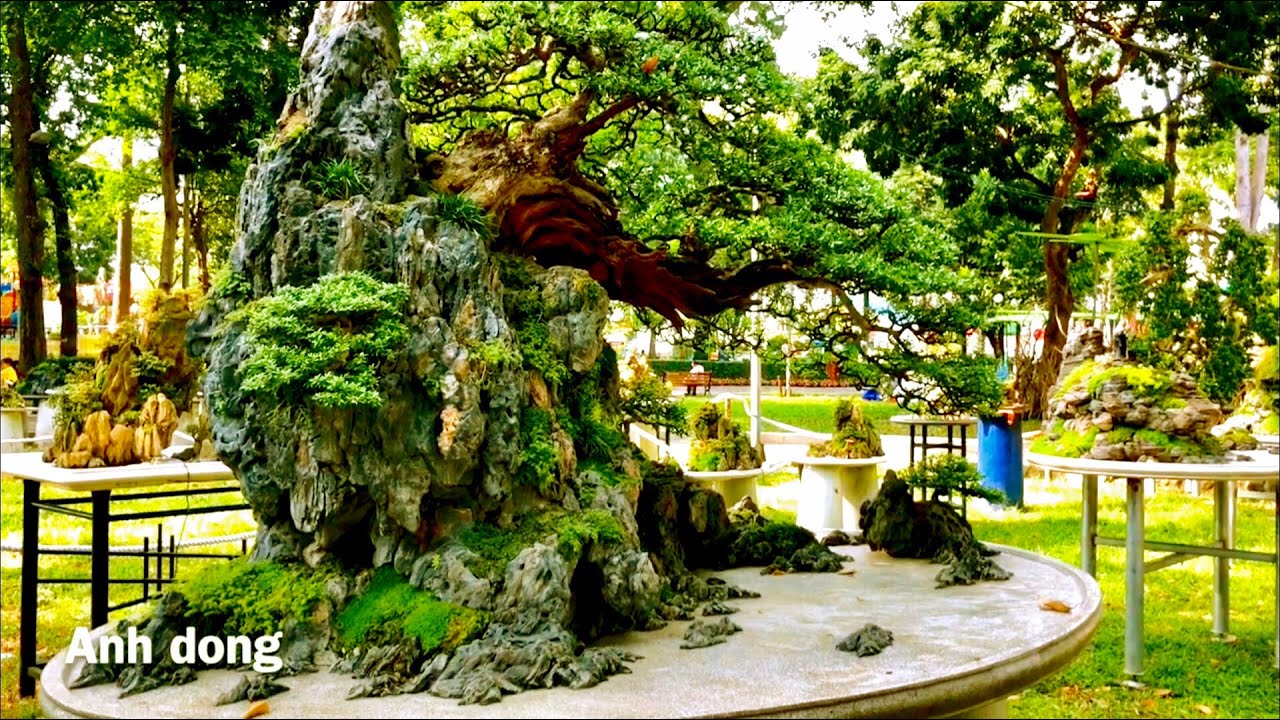 Bonsai tiểu cảnh non bộ hội hoa xuân 2019