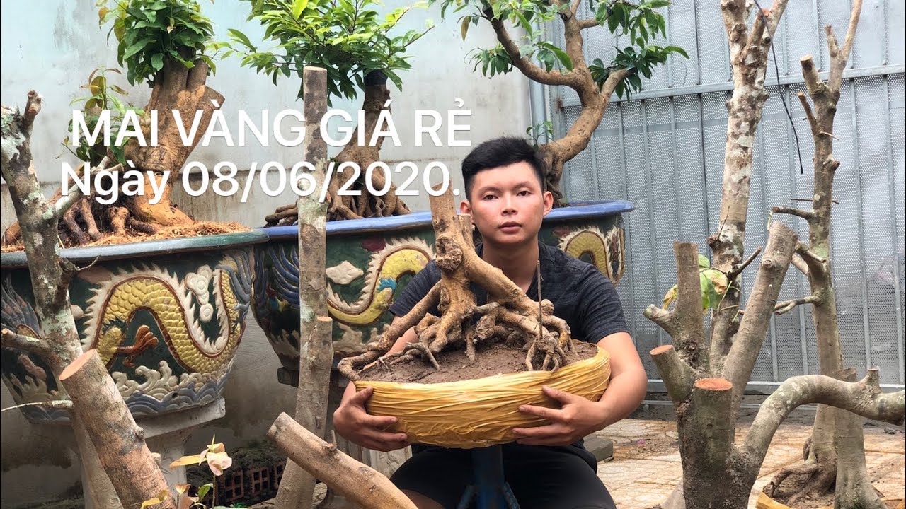 BÁO GIÁ MAI VÀNG CẦN THƠ NGÀY 08/06/2020. Sđt: 0939016808.