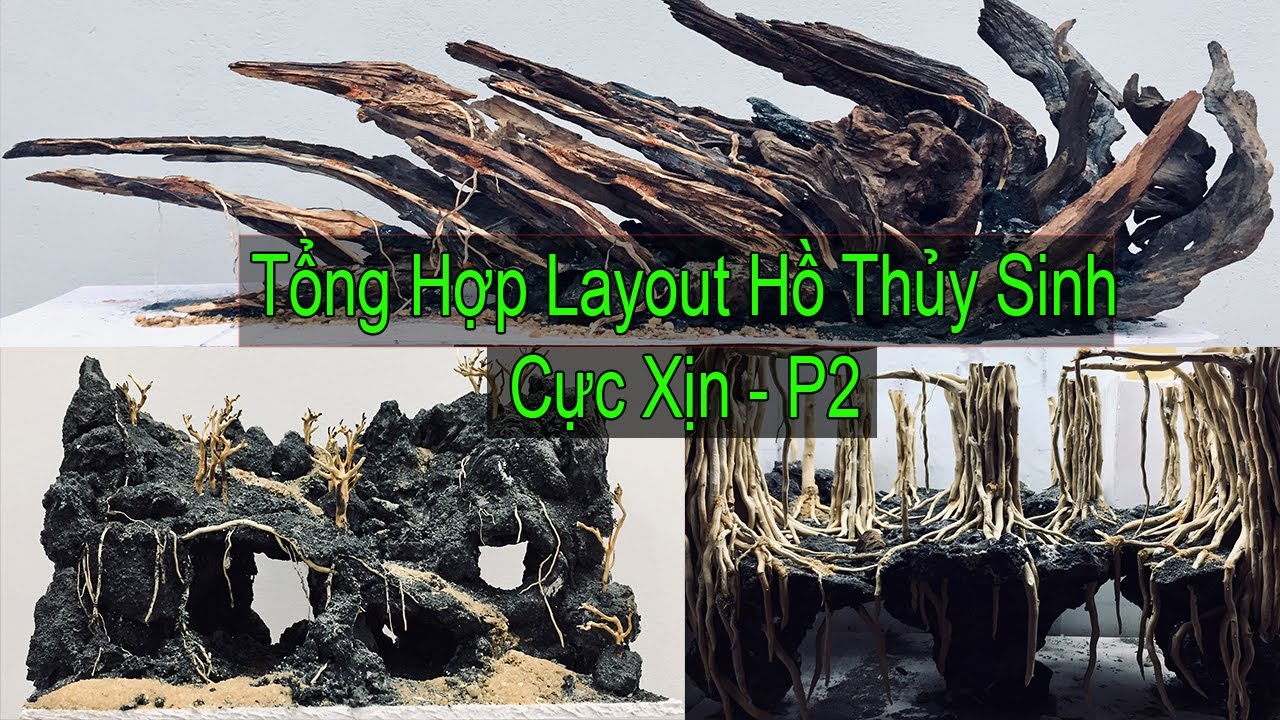 Hồ Thủy Sinh layout mini cực đẹp p2 - Beautiful aquatic mini layout