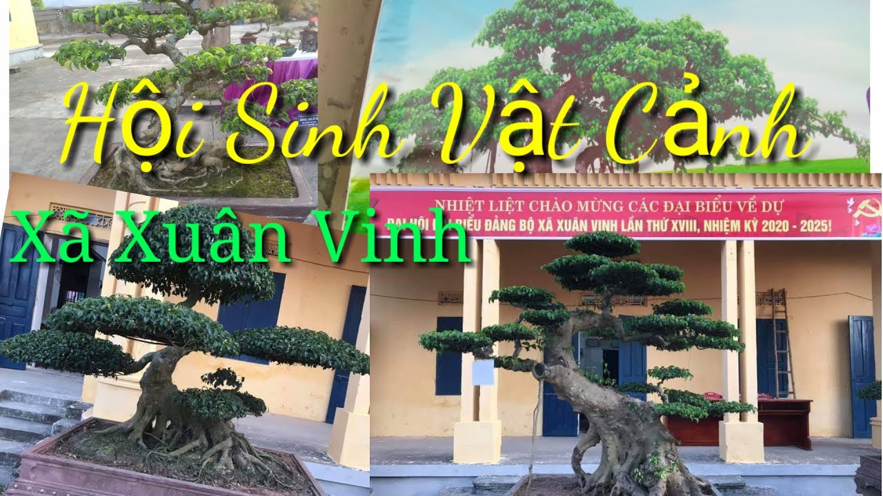 Hội Sinh Vật Cảnh Xã Xuân Vinh p1