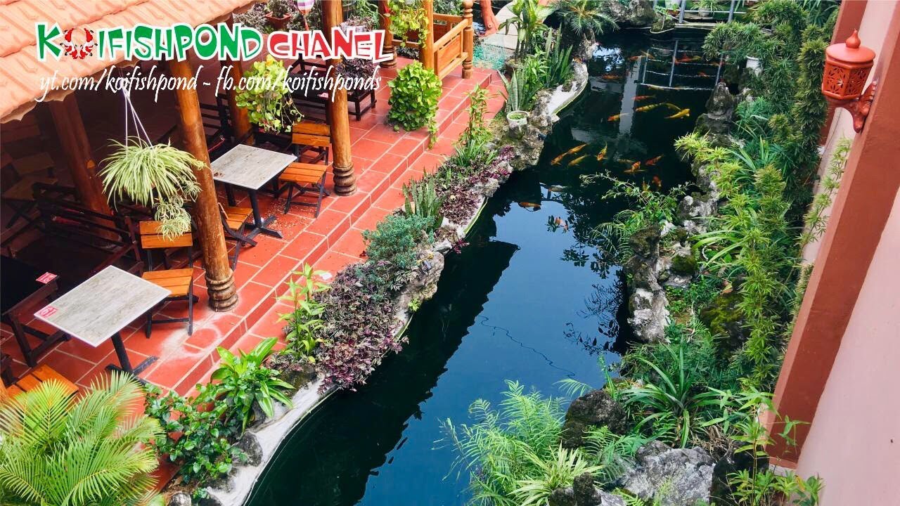 Ngạc nhiên với hồ cá Koi ngoài trời đẹp gần 200 khối | Beautiful koi fish aquarium | Koi Fish Pond