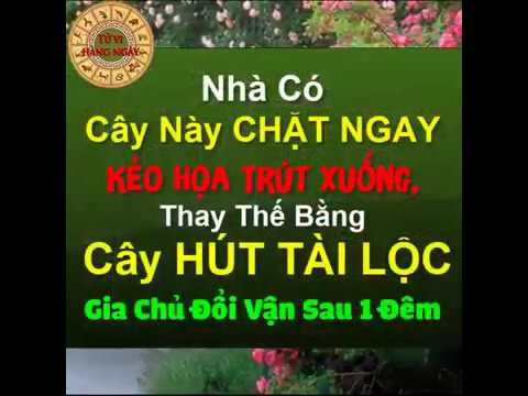 Nhà Có Cây Này CHẶT NGAY Kẻo Họa Trút Xuống, Thay Thế Bằng Cây HÚT TÀI LỘC Gia Chủ Đổi Vận Sau 1 Đêm