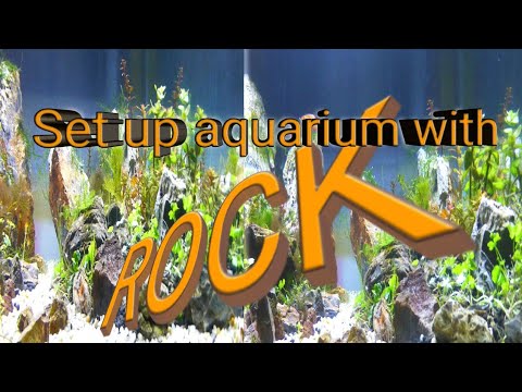 Setup aquarium with rocks / thiết lập bể cá thủy sinh từ đá