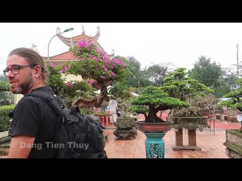 Siêu cây cảnh đẹp được triển lãm tại Văn giang HY Thuy garden