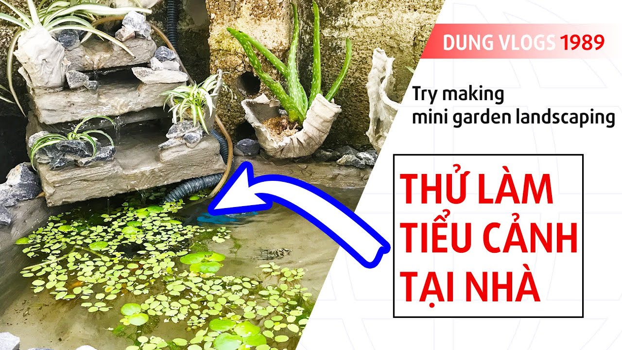 Thử Làm Tiểu Cảnh Sân Vườn | Try making mini garden landscaping | Garden Miniatures ✔️DungVlogs 1989