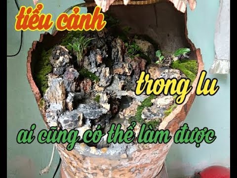 Tiểu cảnh trong lu ý tưởng sáng tạo