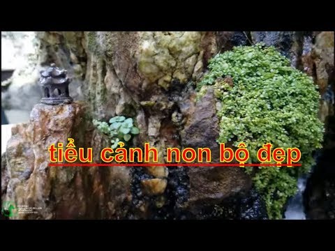 tiểu cảnh non bộ vườn nhà