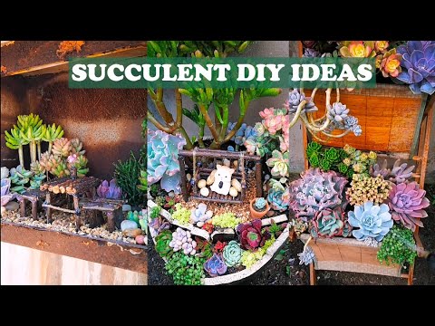 5 Succulent DIY ideas| 5 Ý tưởng trang trí sen đá tuyệt đẹp |多肉植物| 다육이들 | Suculentas