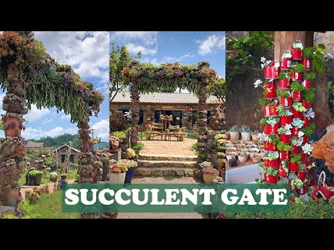 Amazing succulent gate| Cổng nhà bằng sen đá tuyệt đẹp| 多肉植物| 다육이들 | Suculentas