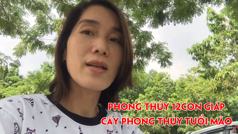 phong-thuy-12con-giap-cay-phong-thuy-tuoi-mao-cay-phat-tai-cach-trong