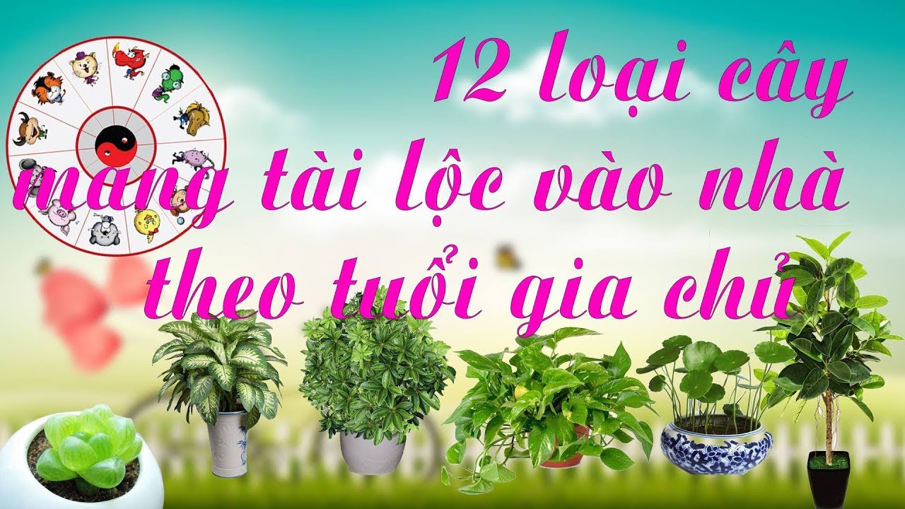 12 Loại cây mang tài lộc    theo tuổi gia chủ