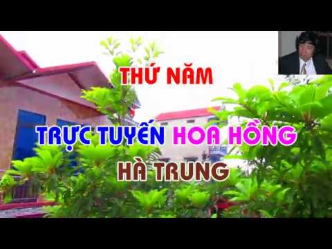 THỨ NĂM TRỰC TUYẾN HOA HỒNG HÀ TRUNG - TRUNG HOA HỒNG