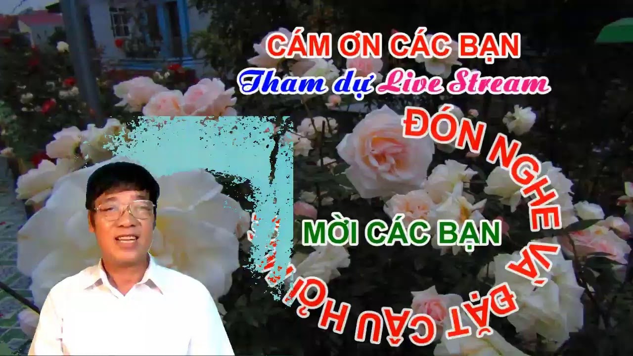 TRUNG HOA HỒNG -  LIVE STREAM TRỰC TIẾP CHỦ ĐỀ ; TRẢ LỜI TOÀN BỘ NHỮNG CÂU HỎI TRONG 4 NGÀY QUA .,