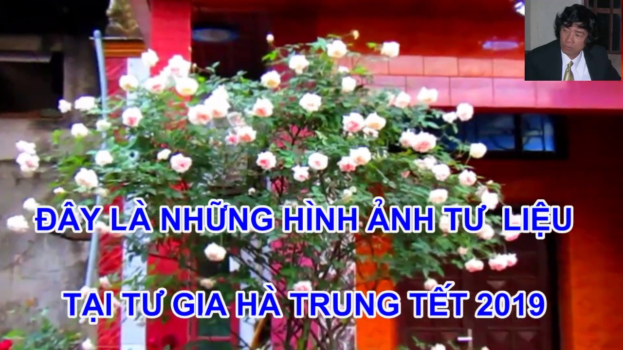 * BỆNH TRĨ * MÙA HÈ - NHỮNG SAI LẦM CHỦ QUAN CHẾT CHÓC - TRUNG HOA HỒNG