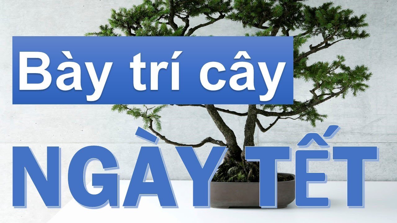 Bày trí cây ngày Tết để rước tài lộc