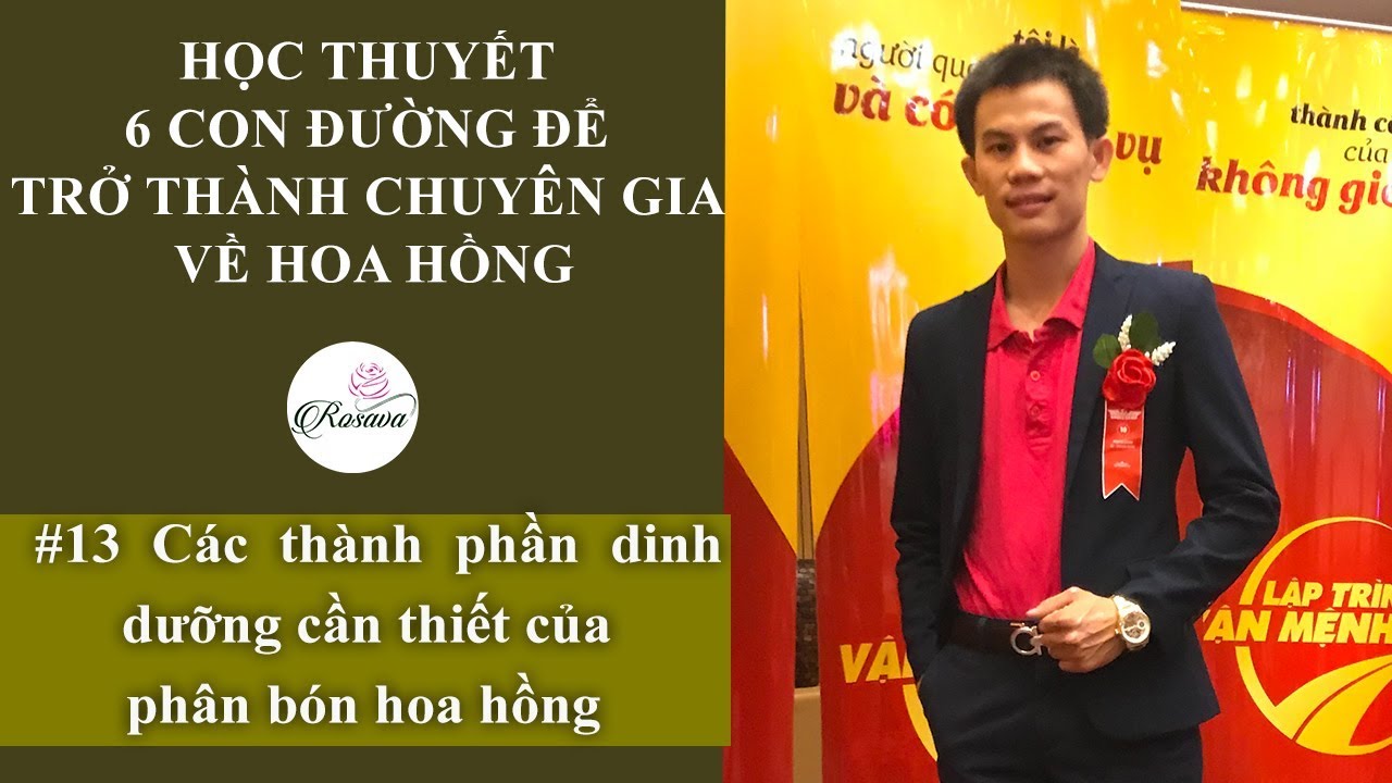 Cách bón phân cho hoa hồng - Các thành phần dinh dưỡng cần thiết