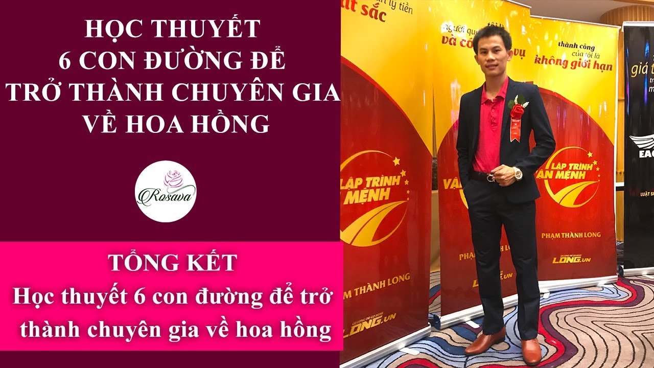 Cách trồng và chăm sóc hoa hồng như chuyên gia