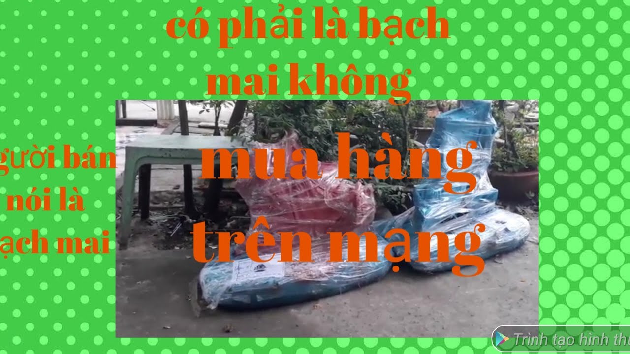 Cây bạch mai núi rừng thứ hai