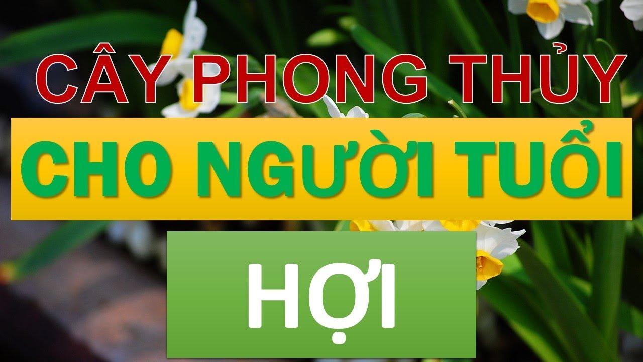 Cây phong thủy hợp với người tuổi Hợi