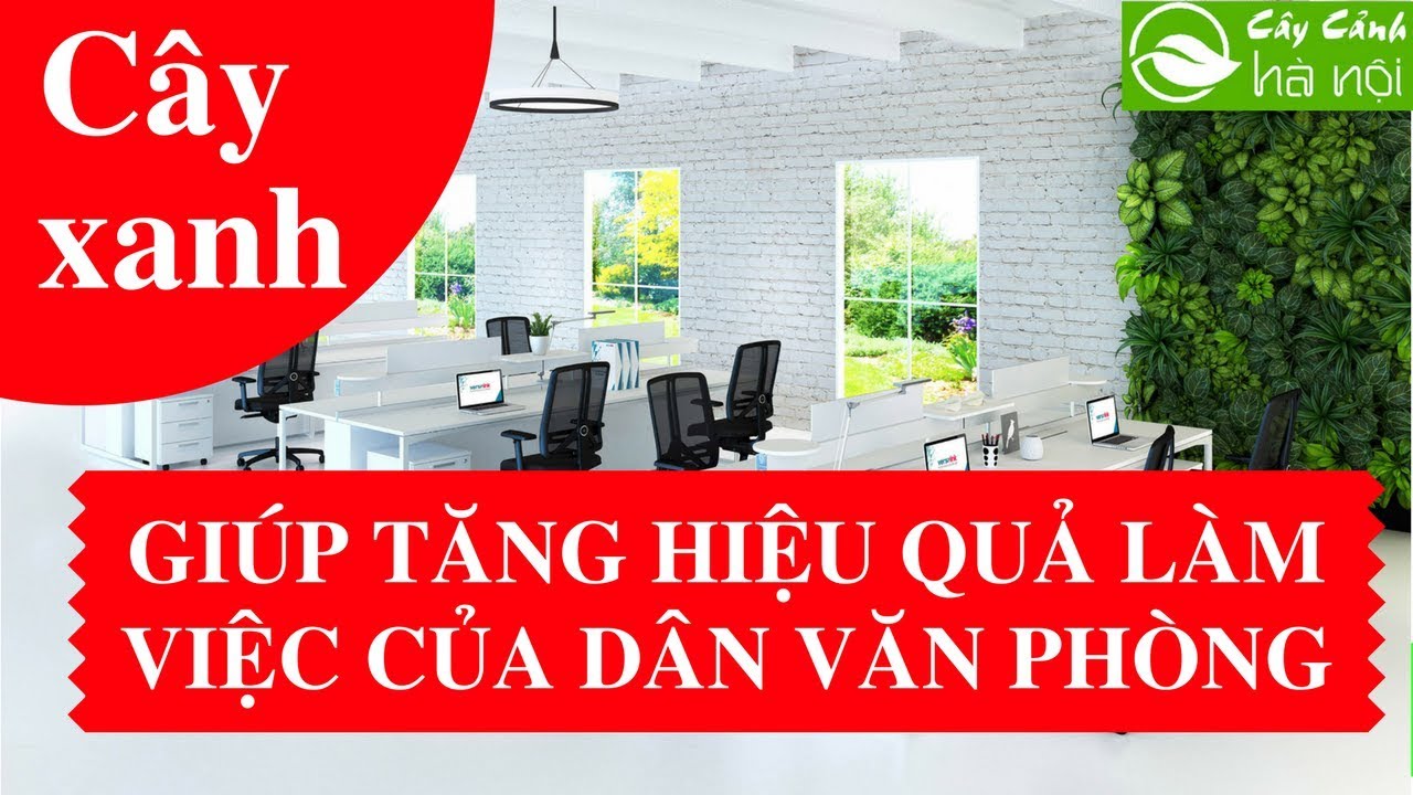 Cây xanh giúp tăng hiệu quả làm việc của dân văn phòng