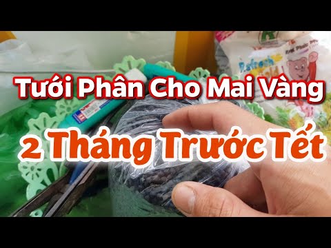 Chăm Mai 2 Tháng Cuối Năm 🥰 1 Tháng 12 Năm 2019