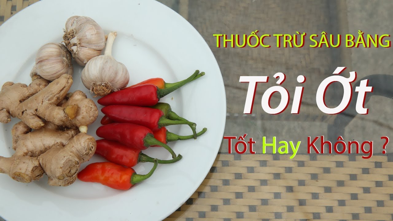 Hướng dẫn cách làm thuốc trừ sâu sinh học tại nhà cực an toàn và hiệu quả