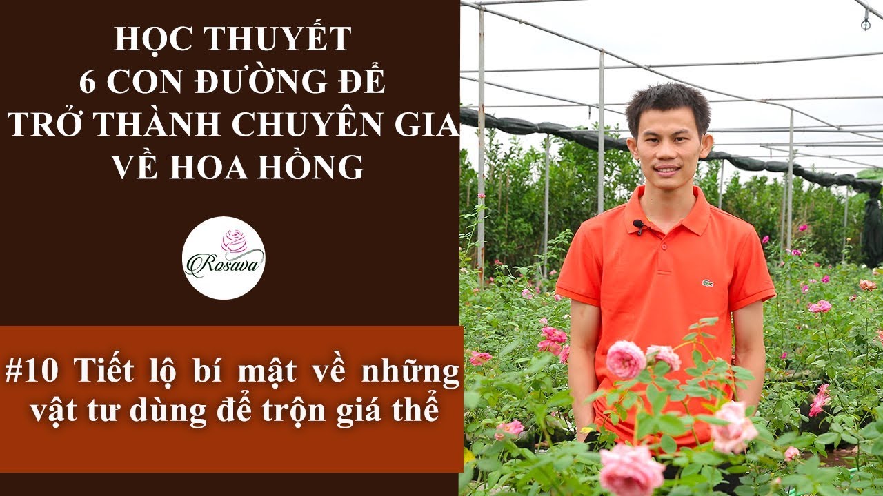 Hướng dẫn chọn vật tự trộn đất giá thể trồng hoa hồng hay nhất