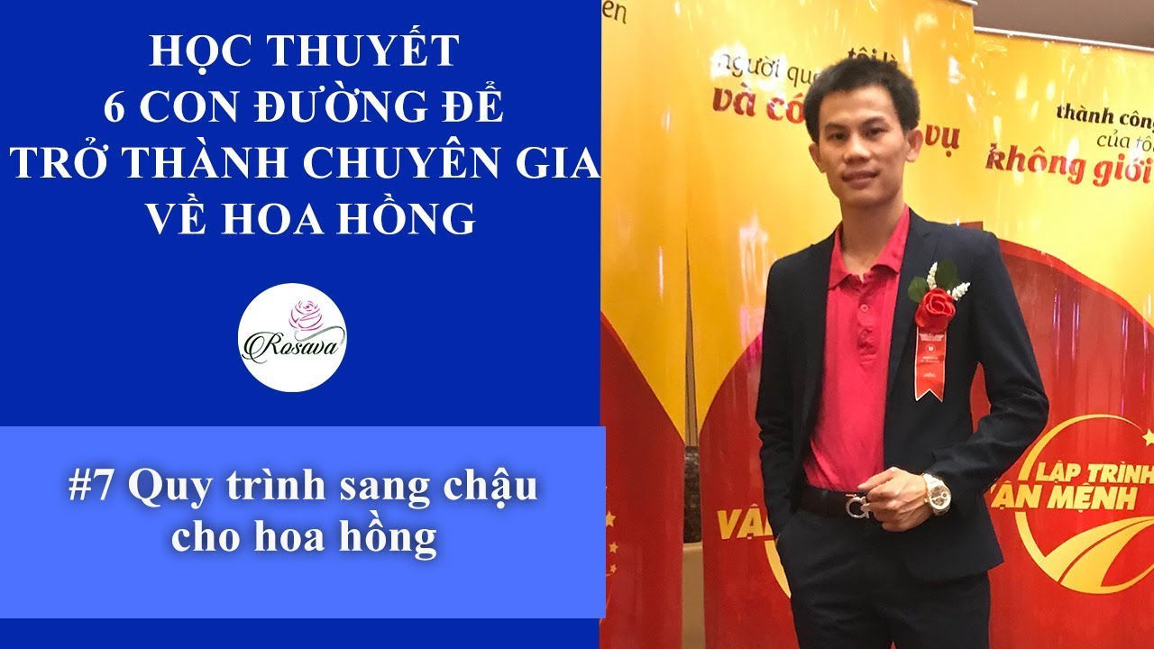 Kỹ thuật chăm sóc hoa hồng | Quy trình sang chậu cho cây hoa hồng