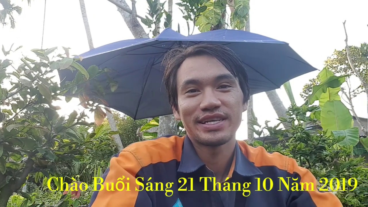 Mai Kem - Mai Cúc Rồng Bay 🥰 Chào Buổi Sáng 21/10/19