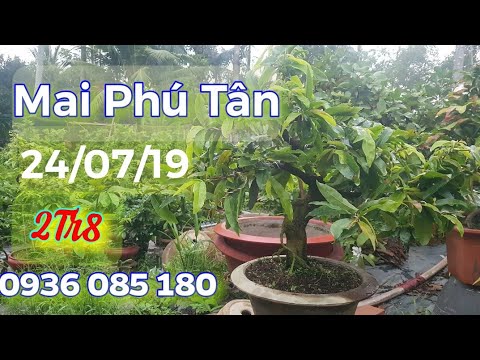 Mai Phú Tân 😀 2Tr8 😀 0936 085 180 😀 24/07/19