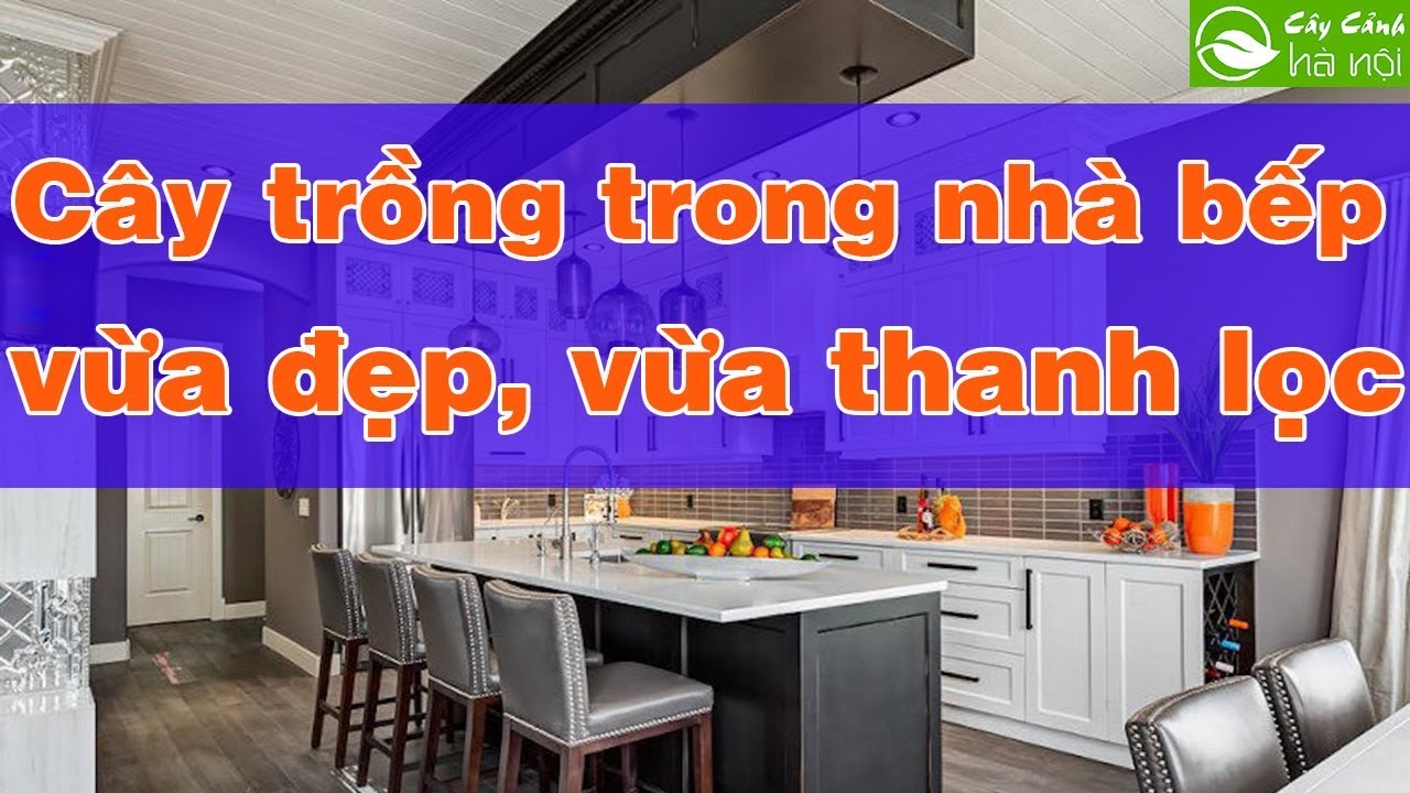 Những loại cây trồng trong nhà bếp vừa đẹp vừa thanh lọc không khí