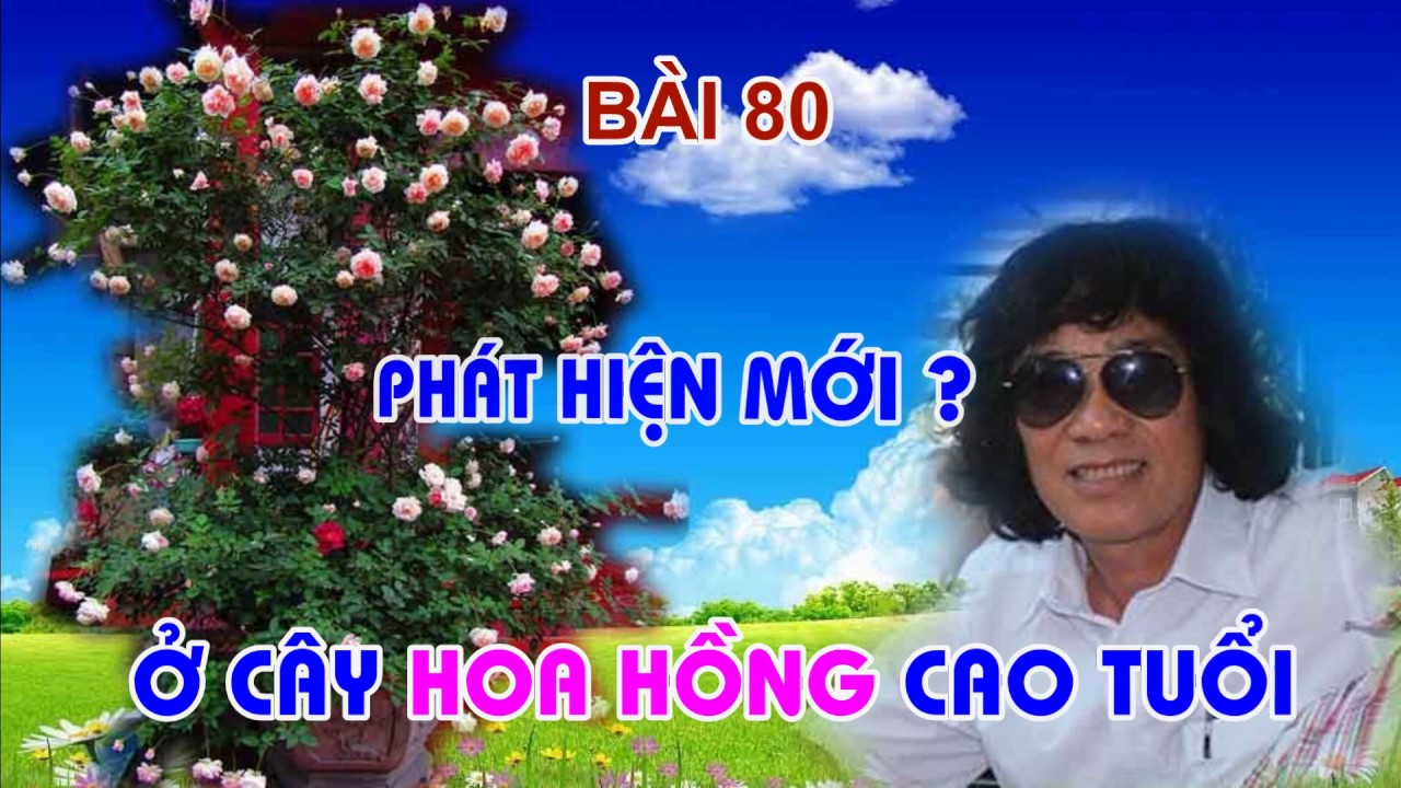 PHÁT HIỆN LẠ Ở CÂY HOA HỒNG CAO TUỔI - TRUNG HOA HỒNG