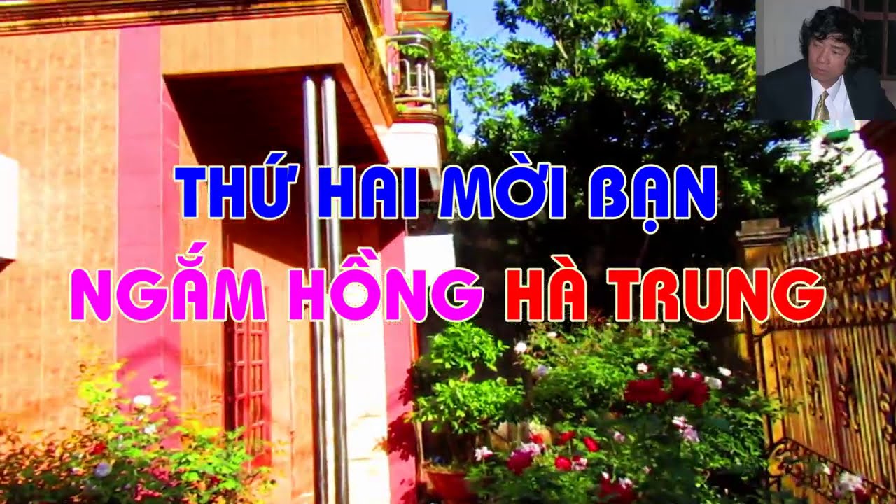 QUA ĐÊM CHỦ NHẬT NỞ HÀNG TRĂM BÔNG HOA ...    TẠI SAO VẬY ?-TRUNG HOA HỒNG